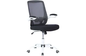 4019 Computer Chair