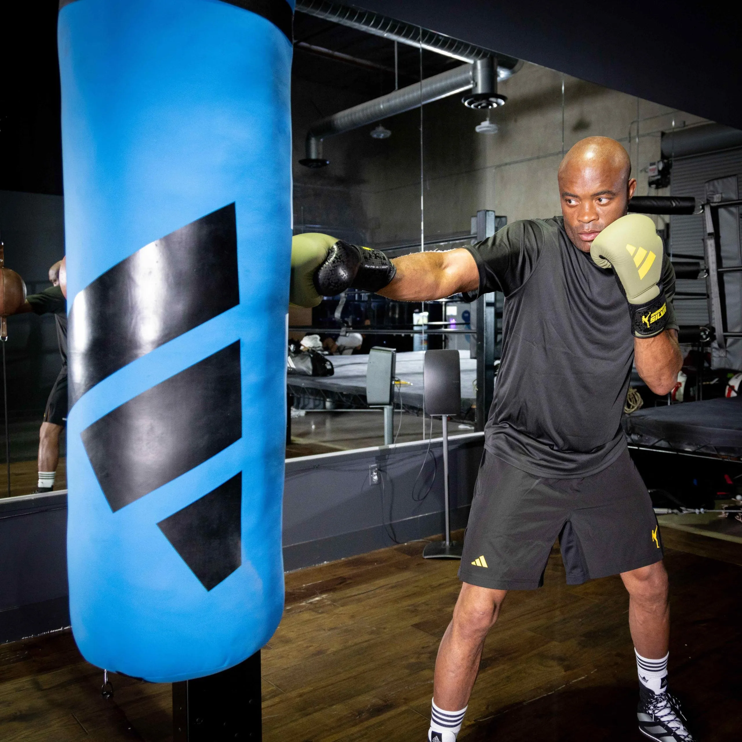 Adidas x Anderson Silva Everyday Use Boxing Gloves