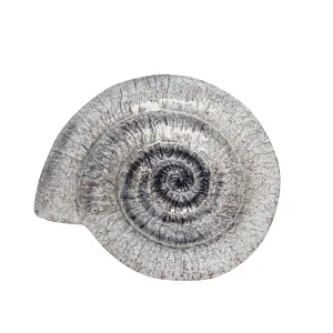 Nautilus Glass Plate