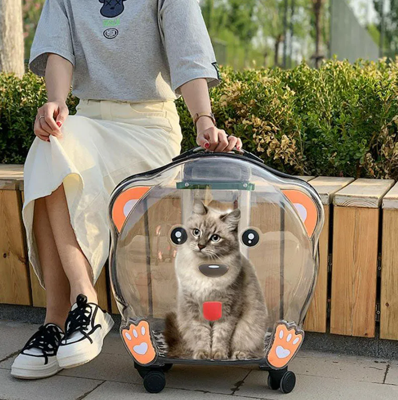 New cat bag dog pet transparent trolley case