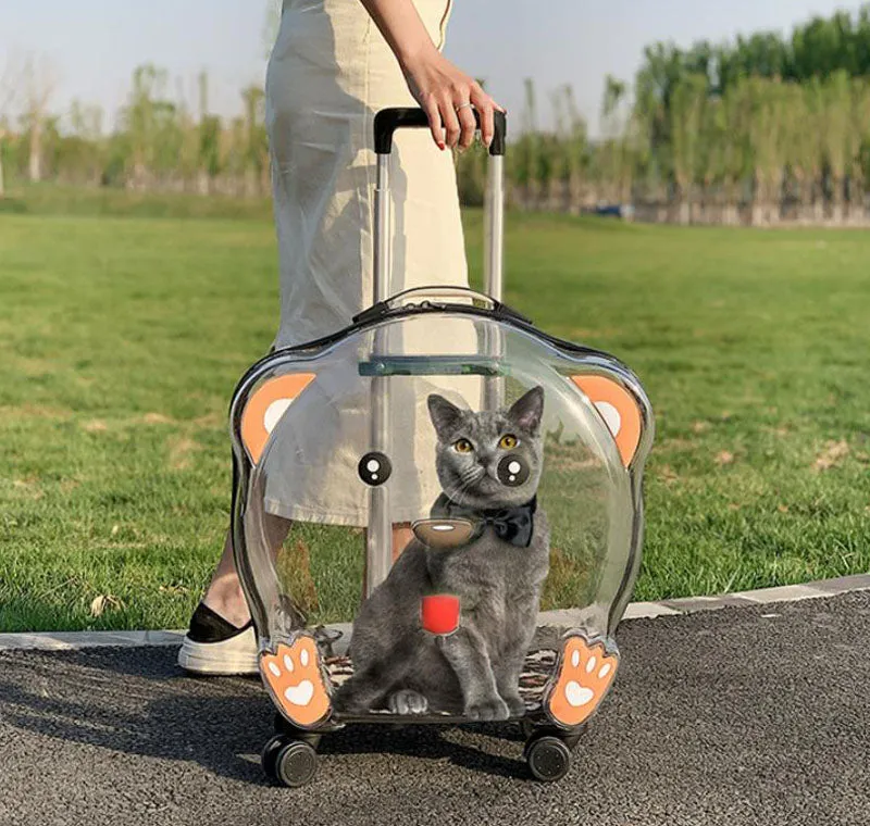 New cat bag dog pet transparent trolley case