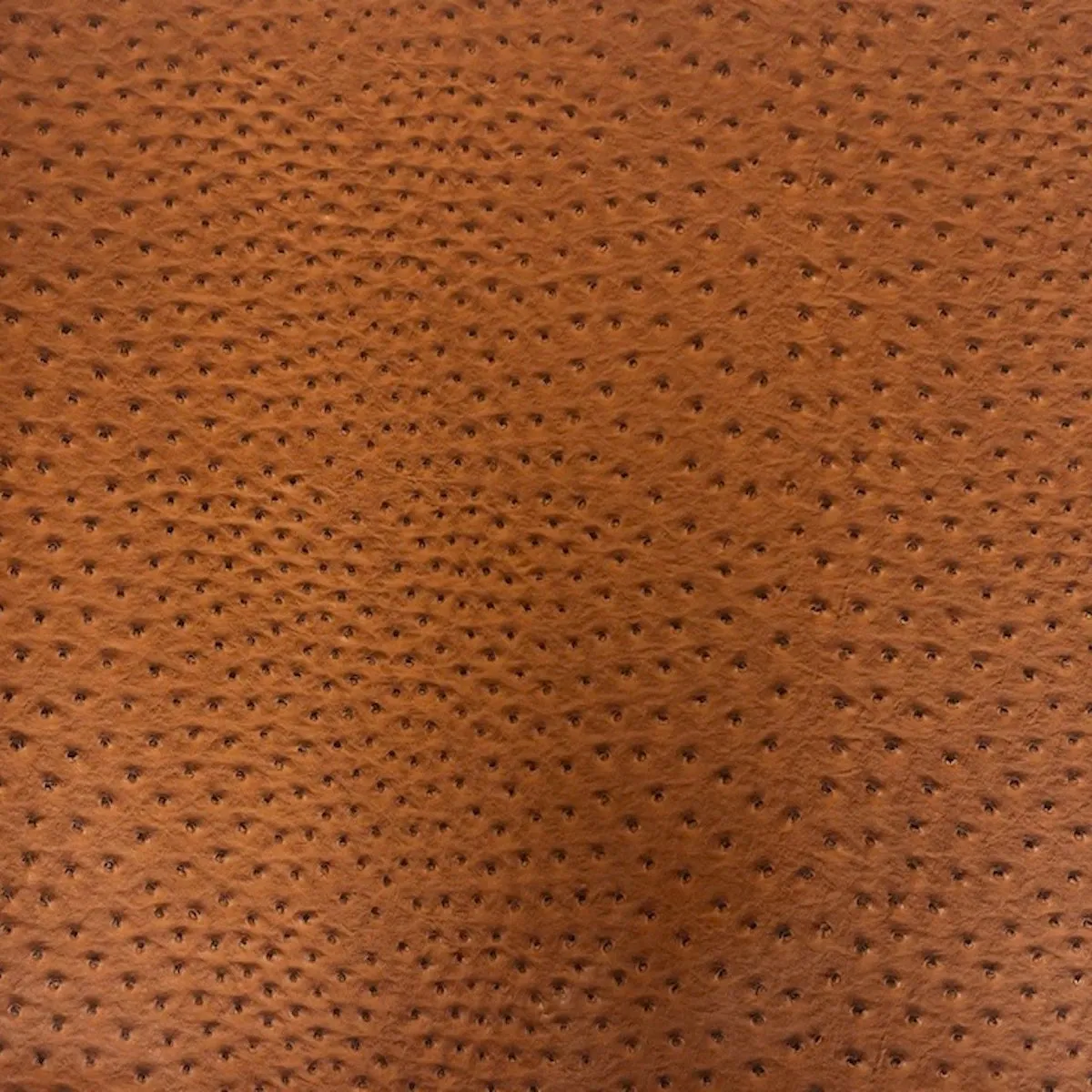 Rust Orange Saratoga Ostrich Faux Leather Vinyl Fabric