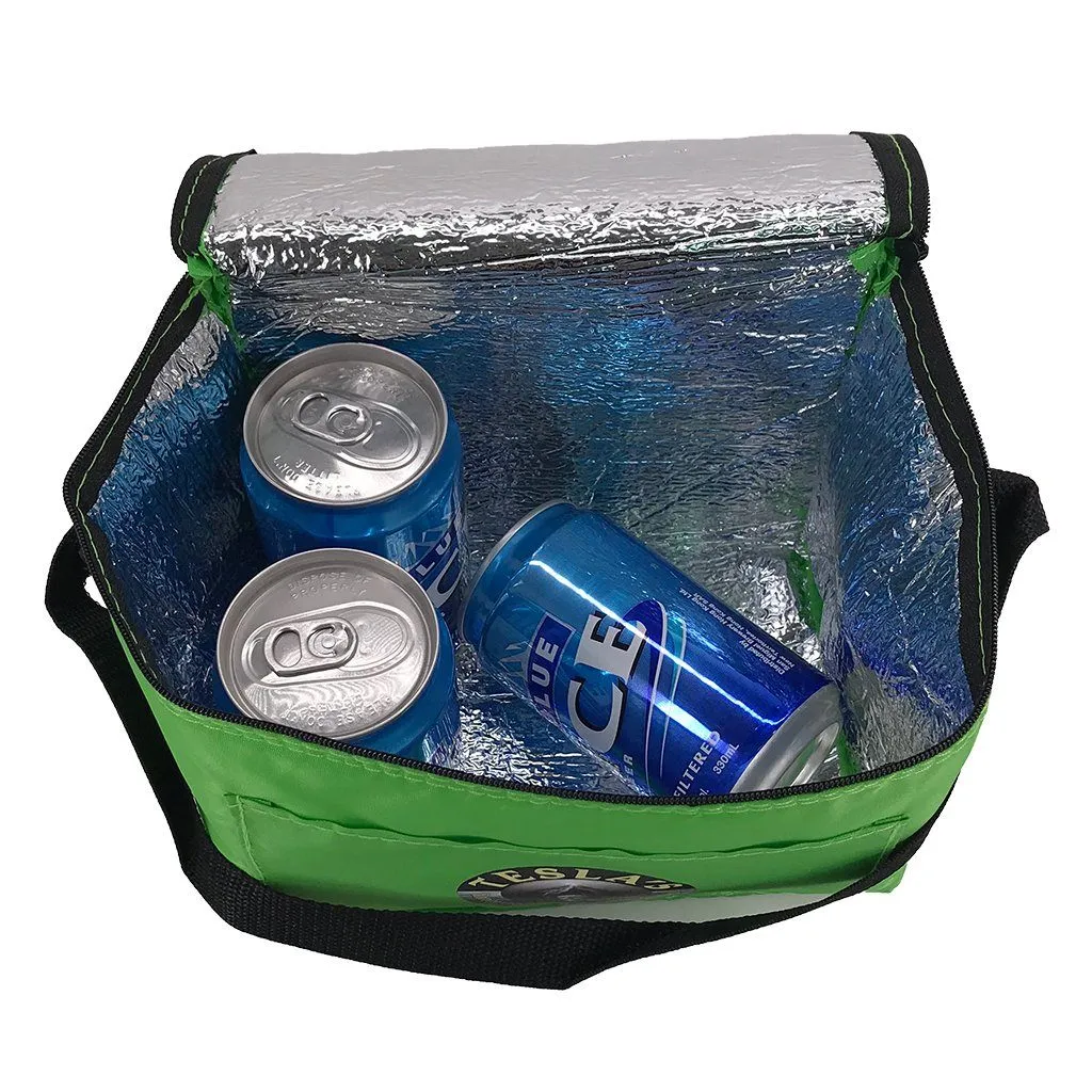 Stock Nylon Cooler Bag-Small (SNB-59T)